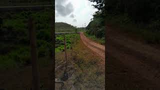 FAZENDA NO NORDESTE 3 [upl. by Aseefan]