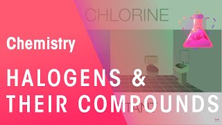 Halogens amp Their Compounds  Properties of Matter  Chemistry  FuseSchool [upl. by Noletta886]