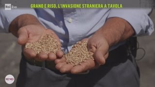 Grano e riso linvasione straniera a tavola  Nemo – Nessuno Escluso 27042017 [upl. by Farland236]