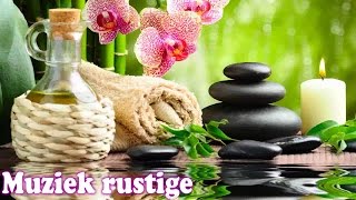 Rustige Ontspannende Muziek ♫ Ontspannende Muziek voor Stress Relief Meditatie Muziek [upl. by Suiradel]