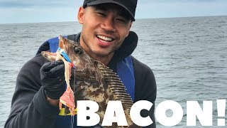 Fishing for Lingcod rockfish with BACON [upl. by Franciskus]