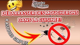 Voici comment vous débarrasser des moucherons dans la cuisine 4Astuces [upl. by Nalced]