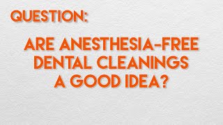 Are AnesthesiaFree Dental Cleanings a Good Idea [upl. by Allister]