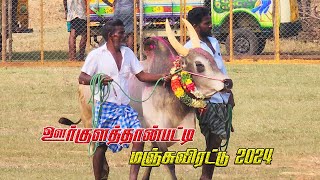 ஊர்குளத்தான்பட்டி மஞ்சுவிரட்டு  Oorkulathanpatti Manjuvirattu  Manjuvirattu 2024  Local Media [upl. by Aneen]