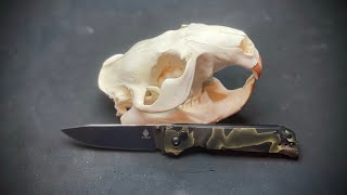 Kizer Begleiter 2 Review [upl. by Ahtilat848]