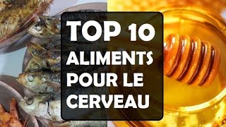 TOP 10 ALIMENTATION pour le CERVEAU [upl. by Nois968]