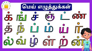 மெய் எழுத்துக்கள்Mei Eluthukkal Tamil Letters Tamilarasi [upl. by Gatias]