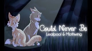 quotCould Never Bequot Leafpool amp Mothwing ORIGINAL WARRIOR CAT SONG [upl. by Eadrahc]