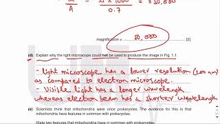 Microscopy Paper 2 Past papers part 2  AS Biology [upl. by Radley]