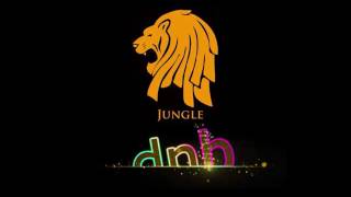 1993  1997 Old Skool Jungle  Drum amp Bass Mix Mickey B [upl. by Andonis]