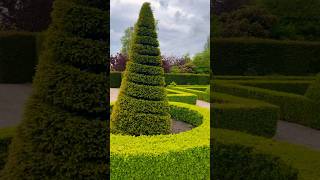 Topiary Garden Design at Bridgemere Show gardens ✨🪴 garden gardening design topiary [upl. by Latini898]