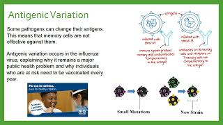 Antigenic Variation [upl. by Bekelja442]