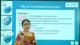 Enzyme immobilization Unit 4 Lecture 1 [upl. by Arol]