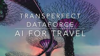 TransPerfect DataForce TRAVEL Solutions [upl. by Roma]