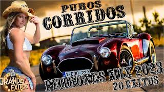 Los 20 Mejor Puros Corridos Perrones Mix 2023 🍺🍺 Para Pistear [upl. by Hayila]