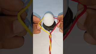 Egg vs 220 Volt Current  shorts experiment [upl. by Alric]