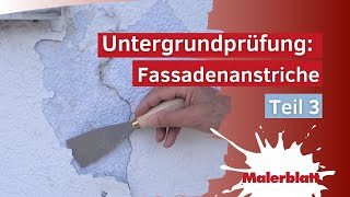 Untergrund prüfen Fassadenanstriche erkennen  Teil 3 [upl. by Silecara]