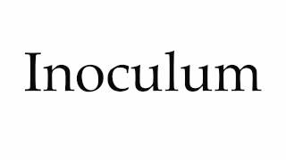 How to Pronounce Inoculum [upl. by Lleira428]