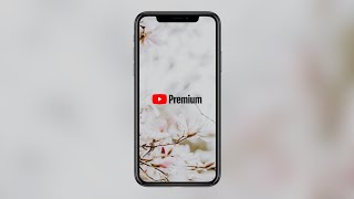 Lohnt sich Youtube Premium in Deutschland [upl. by Ecire]