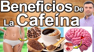 Beneficios Y Propiedades De La Cafeína Para La Salud  Mejores Usos Y Efectos De La Cafeína [upl. by Gerti]