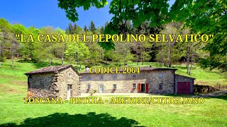 La CASA del PEPOLINO SELVATICO  Casale in Vendita a Abetone Cutigliano PT con giardino RIF 2064 [upl. by Bogey808]