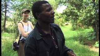 Permaculture  Zimbabwe [upl. by Nattie]