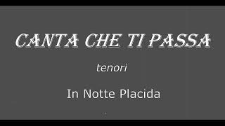 In Notte Placida tenori [upl. by Teplitz160]