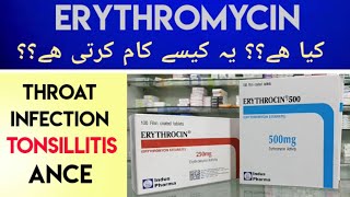 Erythrocin Erythromycin 500MG Tab Uses amp Side Effects In Urdu Hindi  Erythromycin For Sore Throat [upl. by Orelee]