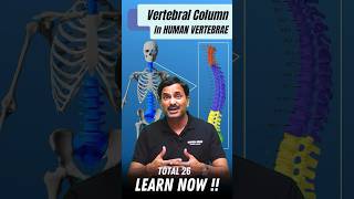 Vertebral Column  Vertebrae  Explained 💯 neet2025 neetbiology foryou shortsfeed [upl. by Ainslee]