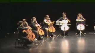 Steven Sharp Nelson The Cello Song [upl. by Aleicarg]