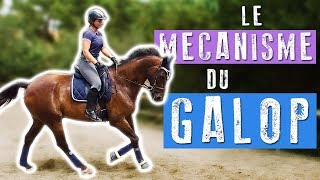 LE GALOP  Séance montée 🐎 [upl. by Ocirrej]