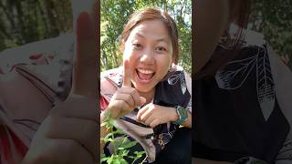 Survival Skills Angry mum with SOAP survival camping outdoors soap useful [upl. by Lavern273]