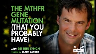 The MTHFR Gene Mutation That You Probably Have  Dr Ben Lynch [upl. by Dail513]