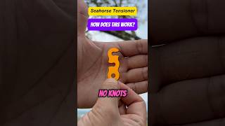 Seahorse Tensioner Hack for perfect guyline tension tentsetup campingtips [upl. by Ailemap]