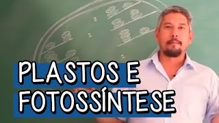 Plastos e Fotossíntese  Extensivo Biologia  Descomplica [upl. by Iccir]