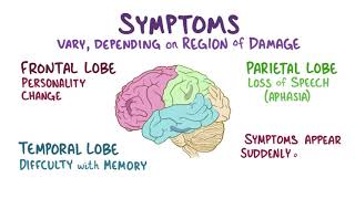 Vascular dementia causes symptoms diagnosis treatment pathology [upl. by Swithbert787]