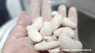 How to Make coated cashew nut  coated cashew nut  coating flour 300400kgh 600800kgh [upl. by Euqilegna]