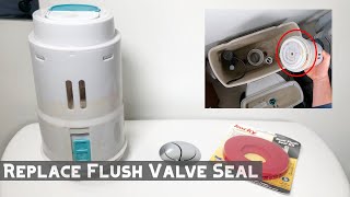 How to Replace Dual Flush Toilet Valve Seal [upl. by Anavrin]