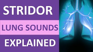 Stridor Lung Sound Audio Nursing NCLEX Review  Stridor Breath Sounds nursing [upl. by Gibb266]