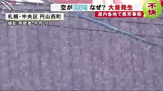 驚異の1500倍 北海道はquot雪虫パニックquot なぜ 異常事態のワケは… 191023 1923 [upl. by Ahsieym]