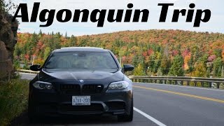 Algonquin Park Car Camping Trip in a M5 [upl. by Atniuqal]