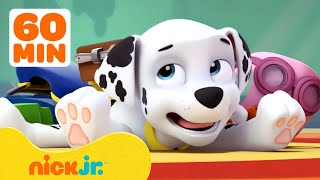 PAW Patrol Marshalls Silliest Moments 🤭 1 Hour Compilation  Nick Jr [upl. by Cad]