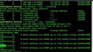 BASH  netstat [upl. by Yci976]