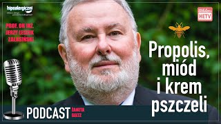 PODCAST Propolis miód i krem pszczeli  prof JERZY LESZEK ZALASIŃSKI o apiterapii [upl. by Aeslehs]