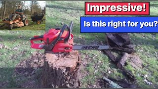 Echo CS310 Chainsaw Review  Yard Cleanup [upl. by Darren]