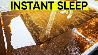 This WILL HELP You SLEEP  Relaxing Rug Cleaning  For Deep Sleep  Stress Relief  Anxiety Relief [upl. by Nabi734]