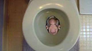 Head Flushed Down Toilet [upl. by Aseneg]