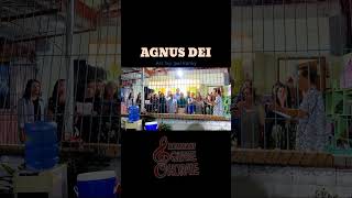 Agnus Dei short video [upl. by Lanevuj]