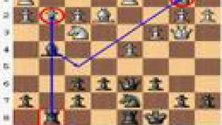 Chess Expert vs Chess Master CaroKann Defense BronsteinLarsen [upl. by Bearce]