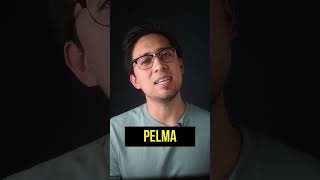 Pelma ¿Conocías la palabra [upl. by Reniar736]